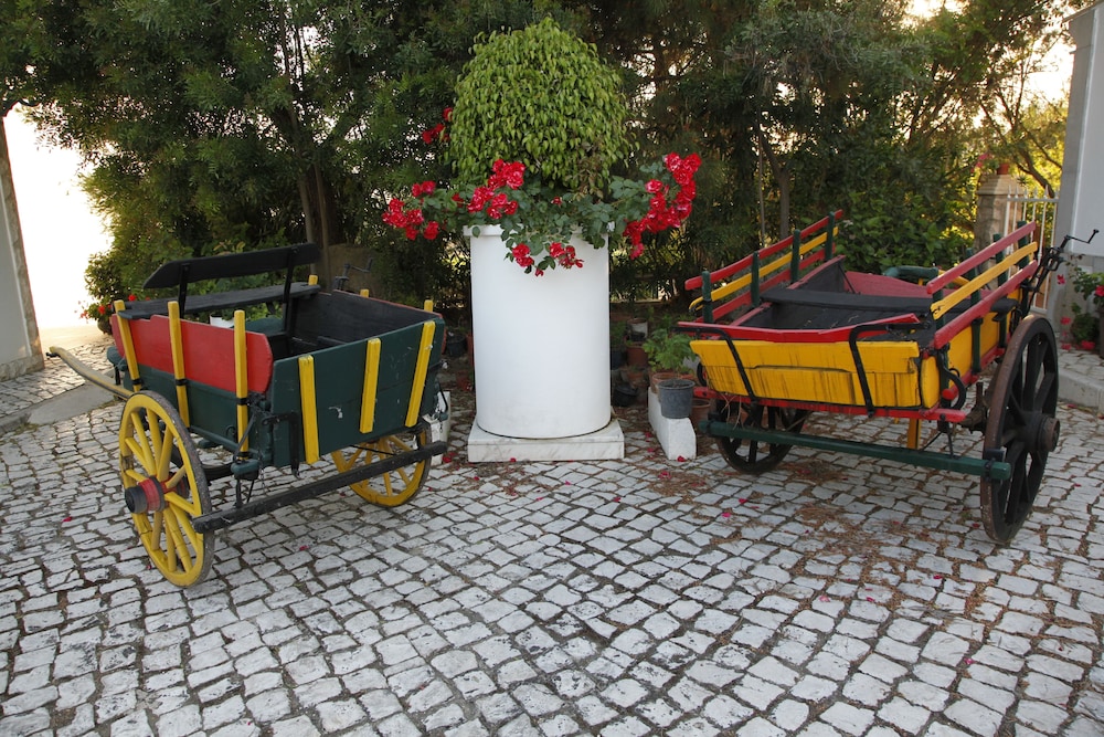 Muthu Balaia Sol — Attractions in the area in Albufeira, Faro