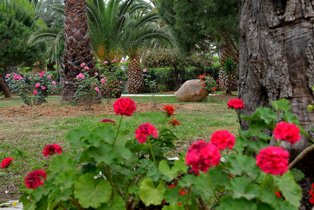 CNic Gemini Hotel — Hotel building in Moraitika, Ionian Islands