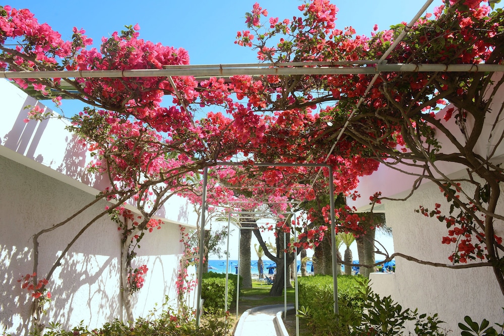 Blue Horizon Hotel — Hotel building in Ialyssos, South Aegean
