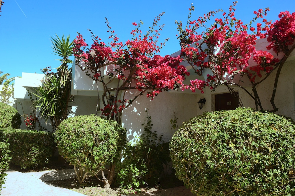 Blue Horizon Hotel — Hotel building in Ialyssos, South Aegean