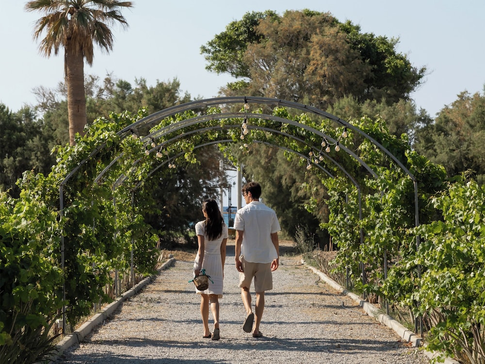 Creta Palace, A Resort to Live — Attractions in the area in Rethymnon