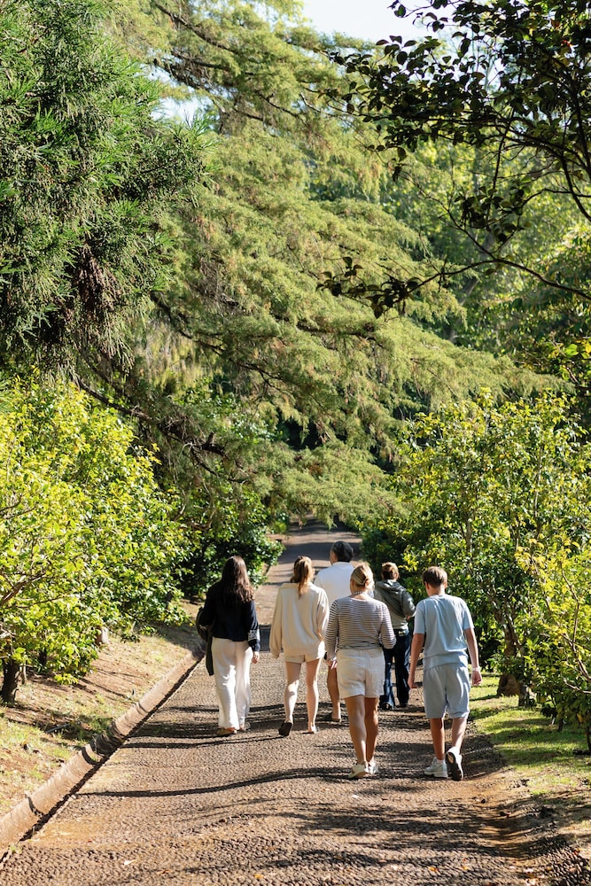 Casa Velha do Palheiro, Relais & Chateaux — Attractions in the area in Funchal, Madeira