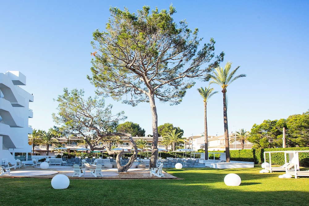 BQ Sarah Hotel - Adults Only — Sports & recreation in Can Picafort, Balearic Islands
