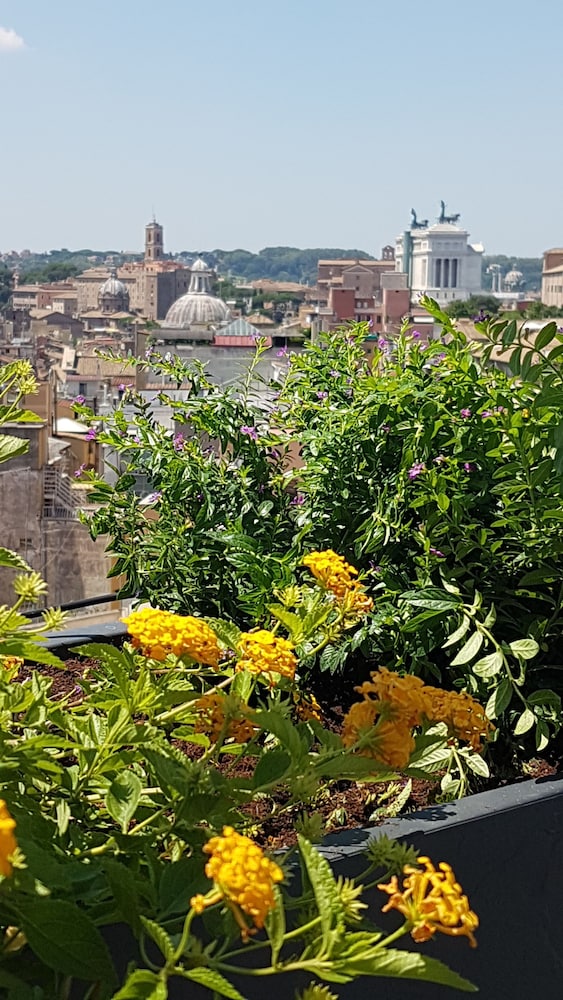 Monti Palace Hotel — Attractions in the area in Rome, Lazio