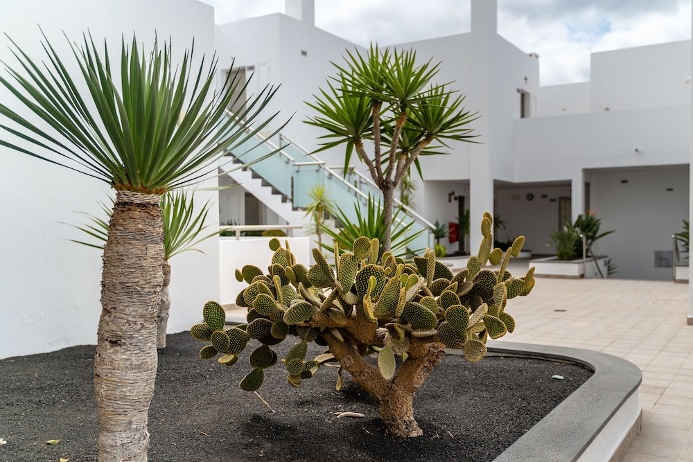 Hotel Lanzarote Village — Hotel building in Puerto del Carmen, Canary Islands