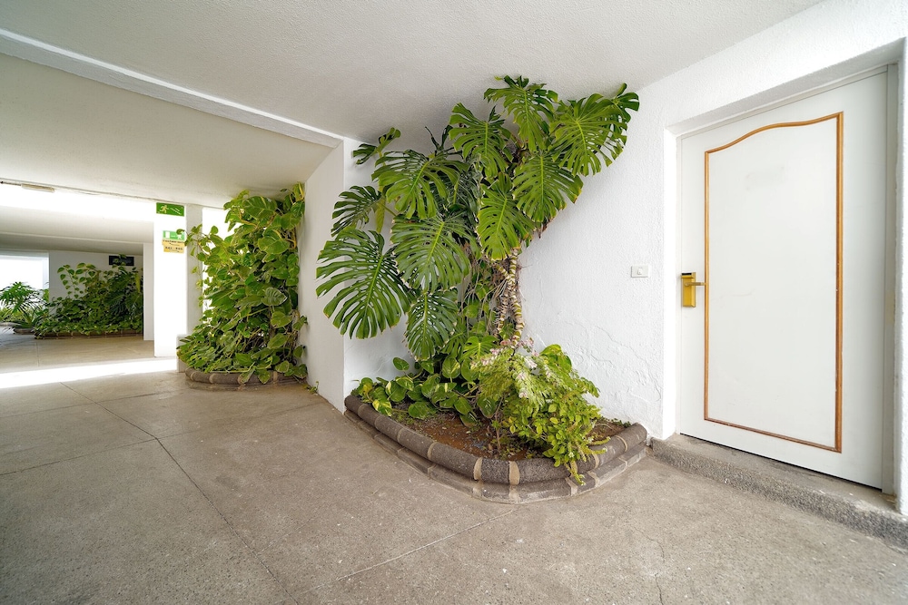 Apartamentos Rio Piedras — Hotel building in Puerto Rico, Canary Islands