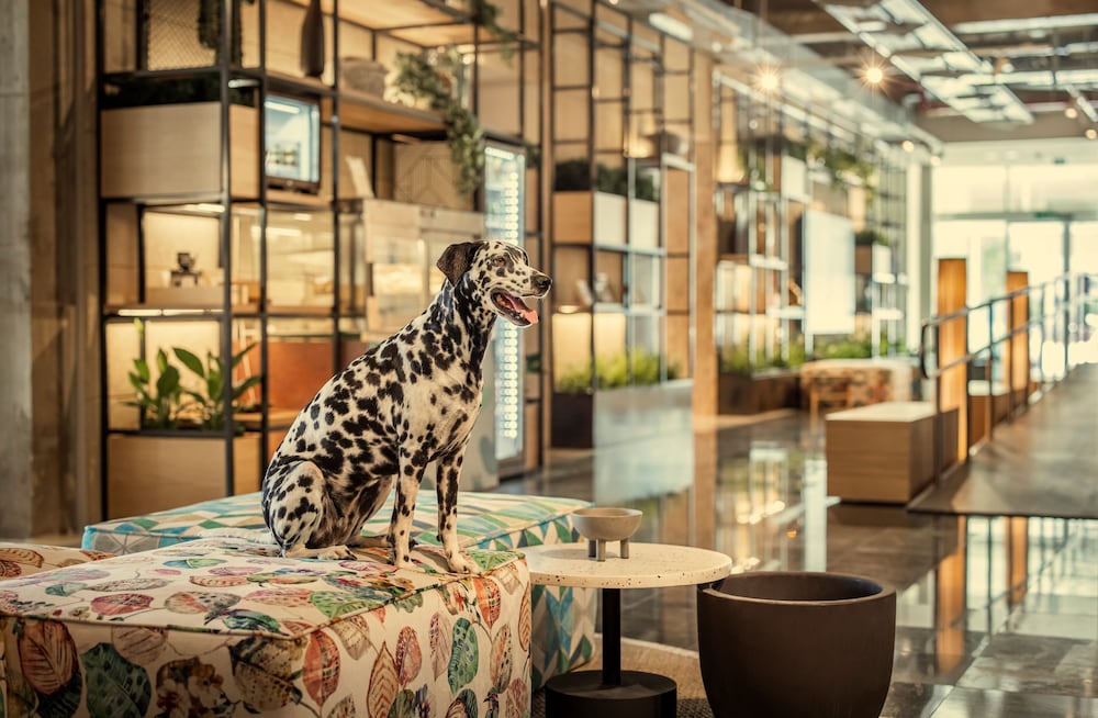 [PLACES] Dalmacija by Valamar — Restaurant & bars in Makarska, Split-Dalmatia
