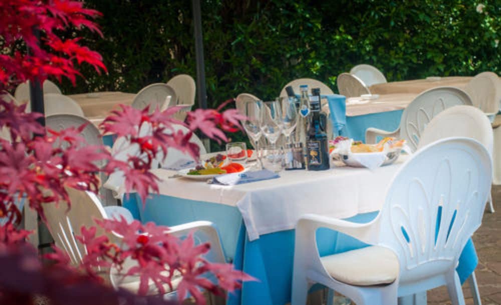Hotel Du Parc — Restaurant & bars in Sirmione, Lombardy