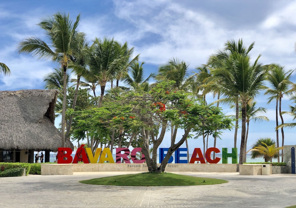 Barceló Bávaro Beach - Adults Only - All Inclusive — Beach in Bavaro, La Altagracia