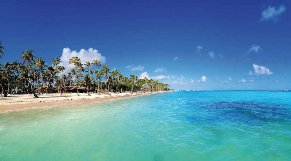 Barceló Bávaro Beach - Adults Only - All Inclusive — Beach in Bavaro, La Altagracia