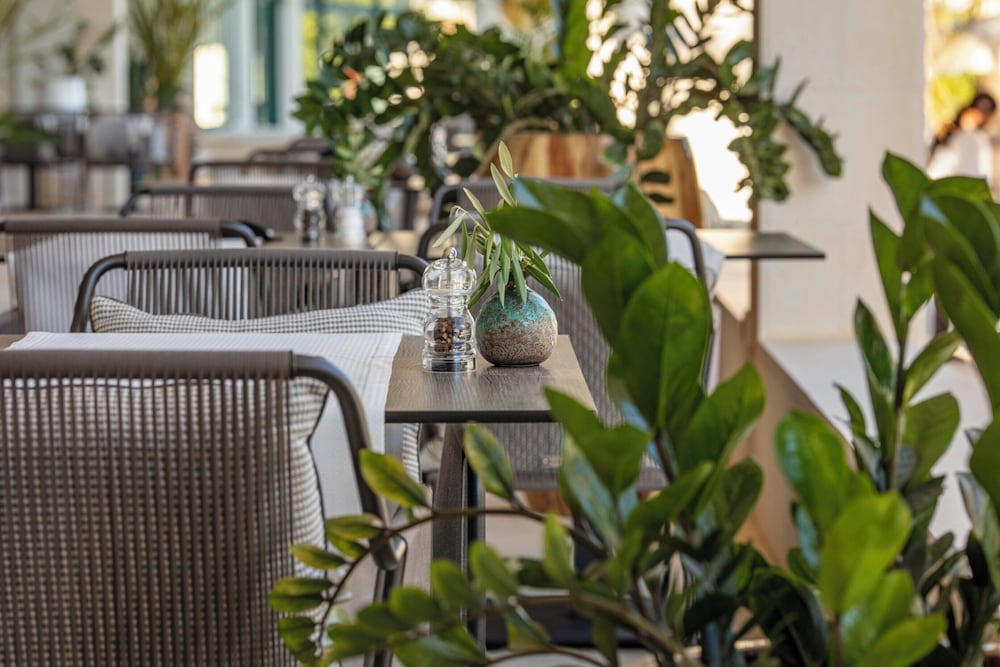 Royal Palm Hotel — Restaurant & bars in Dubrovnik, Dubrovnik-Neretva