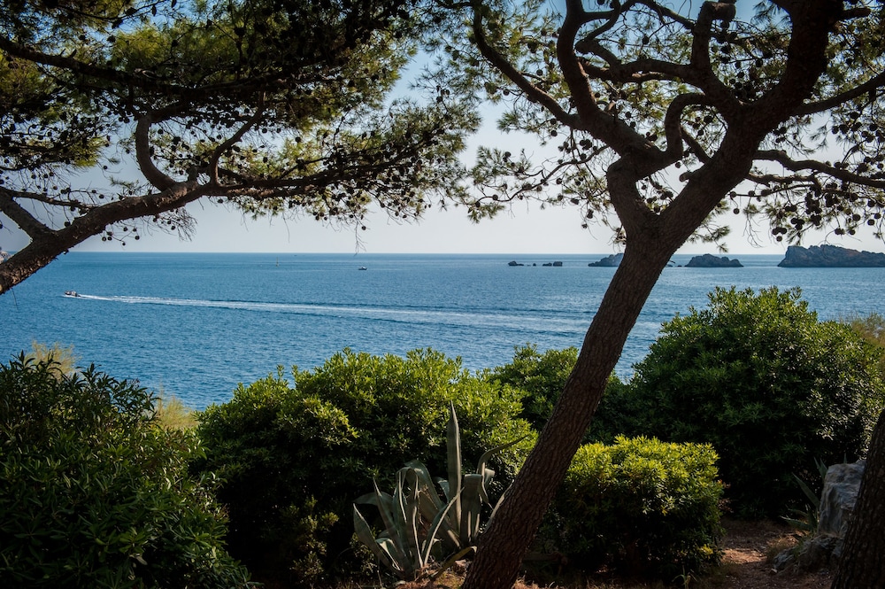 Royal Palm Hotel — Attractions in the area in Dubrovnik, Dubrovnik-Neretva