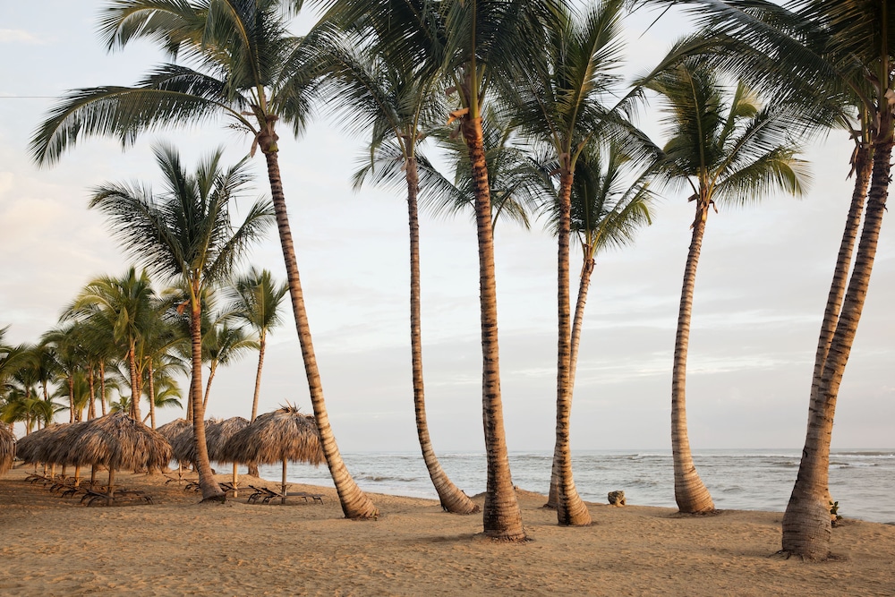 Excellence Carmen Punta Cana - Adults Only All Inclusive — Beach in Uvero Alto, La Altagracia