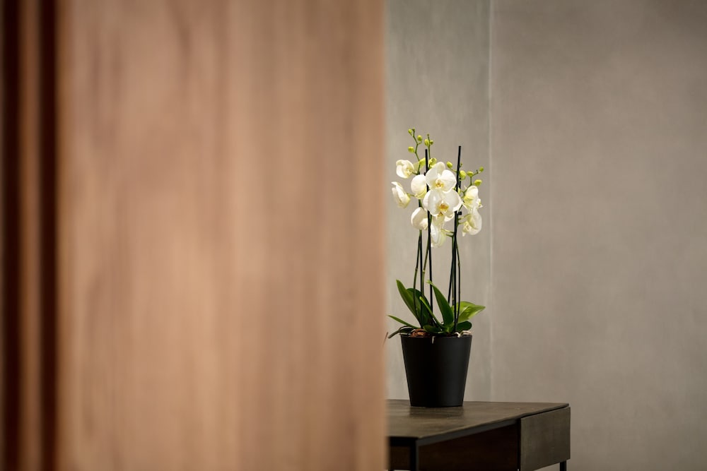 Hotel Dom Carlos Park — Hotel building in Lisbon, Lisboa