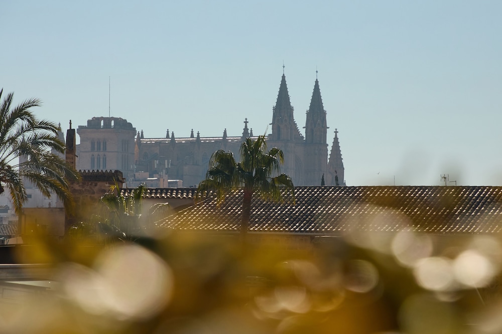 Sant Jaume Design Hotel — Attractions in the area in Palma de Mallorca, Balearic Islands