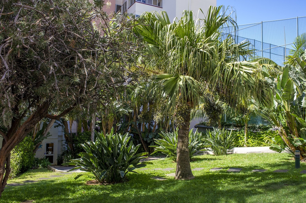 Dorisol Buganvilia Studio Hotel — Hotel building in Funchal, Madeira