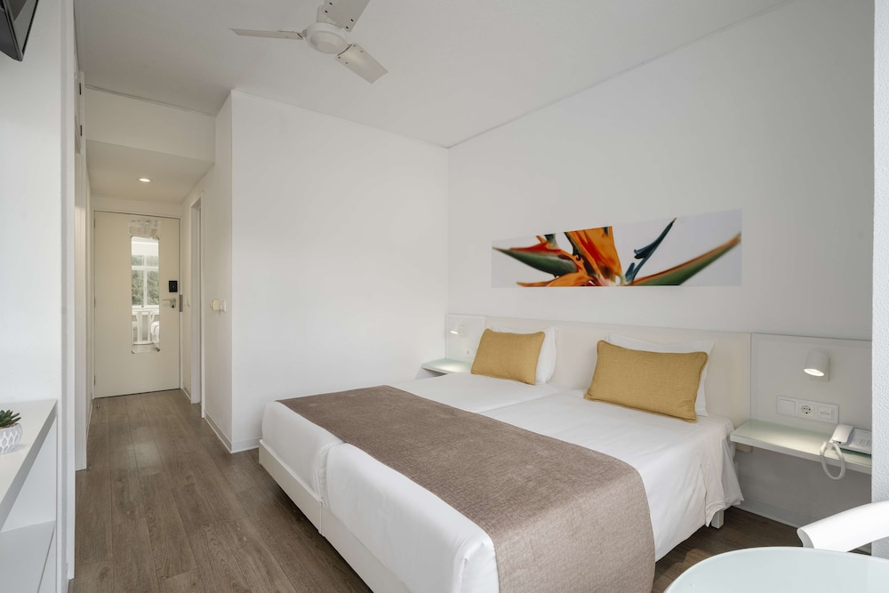 Dorisol Estrelicia Hotel — Hotel rooms in Funchal, Madeira