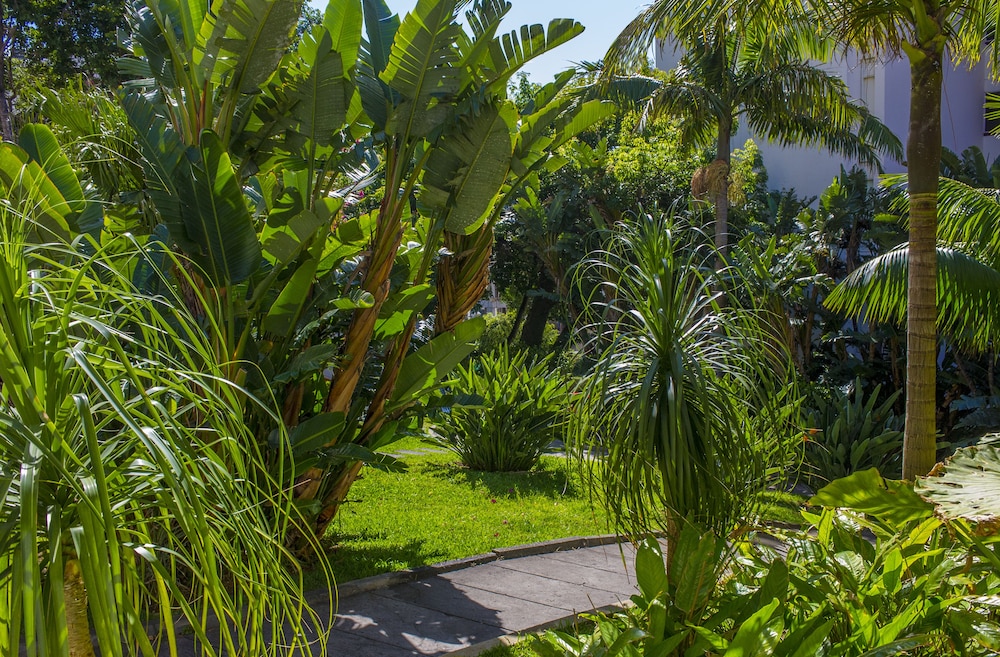 Dorisol Estrelicia Hotel — Hotel building in Funchal, Madeira