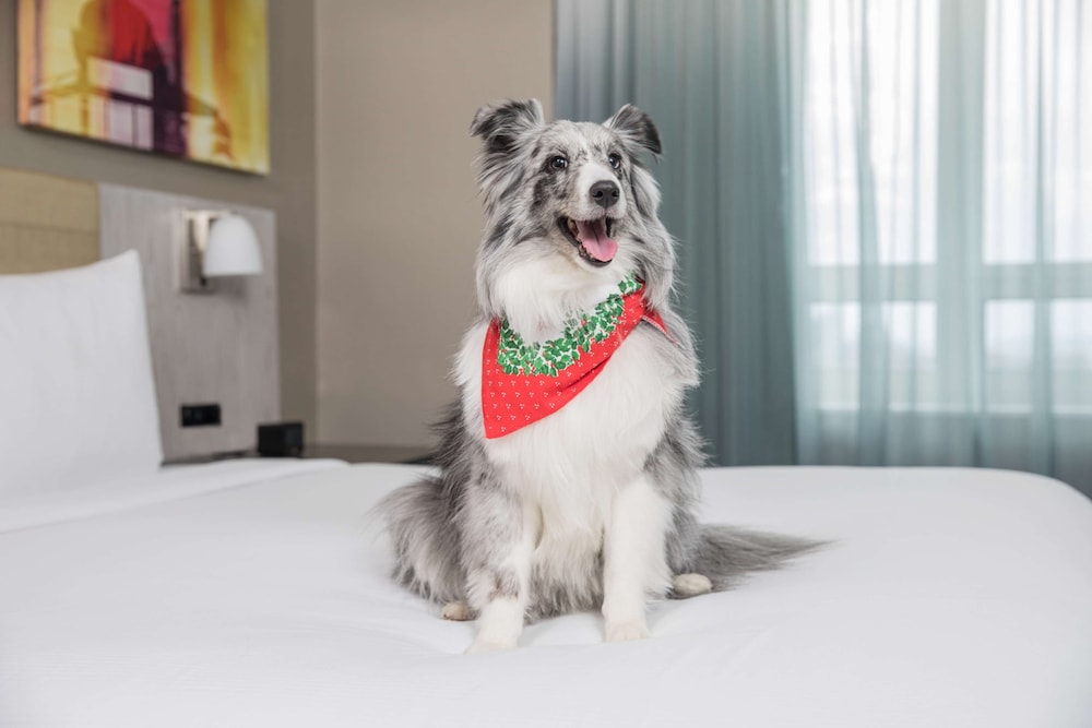 DoubleTree by Hilton New York Times Square West — Hotel rooms in New York City, New York State