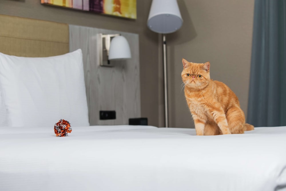 DoubleTree by Hilton New York Times Square West — Hotel rooms in New York City, New York State