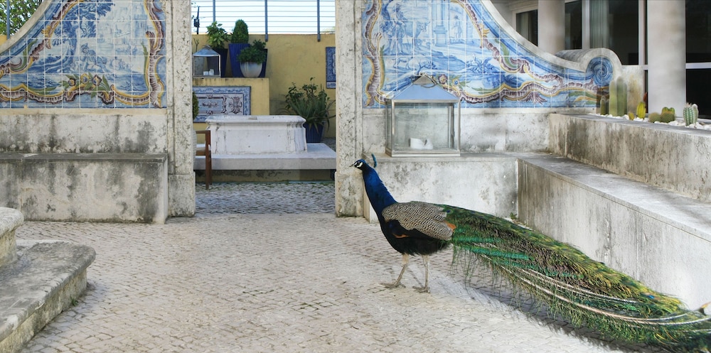 Solar Do Castelo, a Lisbon Heritage Collection — Attractions in the area in Lisbon, Lisboa