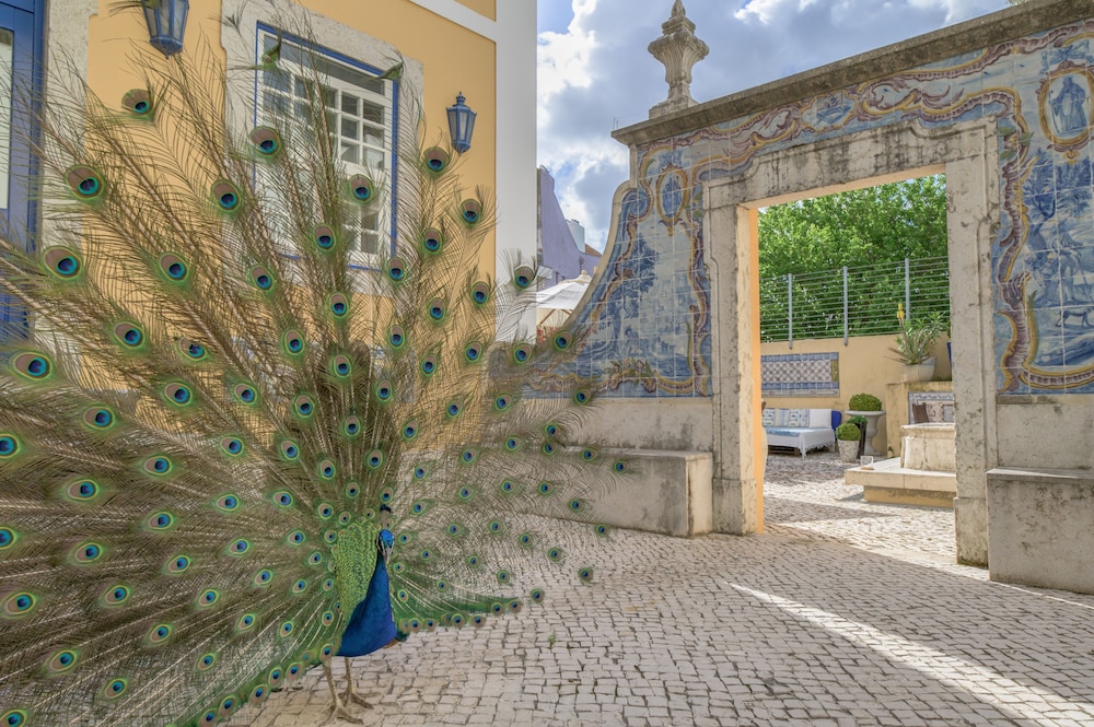 Solar Do Castelo, a Lisbon Heritage Collection — Attractions in the area in Lisbon, Lisboa