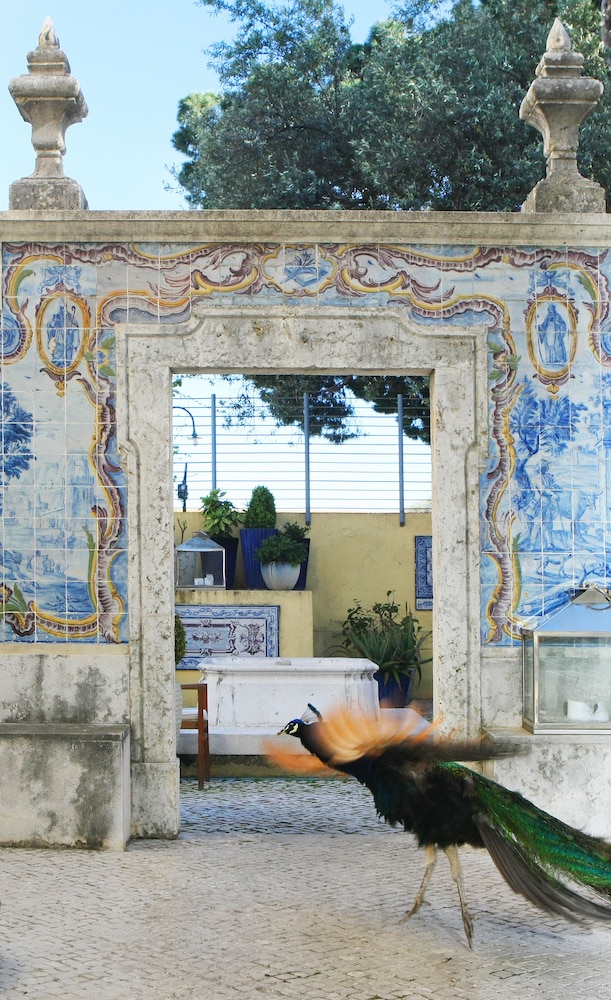 Solar Do Castelo, a Lisbon Heritage Collection — Attractions in the area in Lisbon, Lisboa