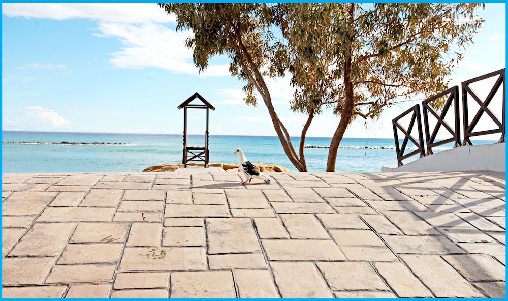 Poseidonia Beach Hotel — Beach in Limassol, Limassol Region