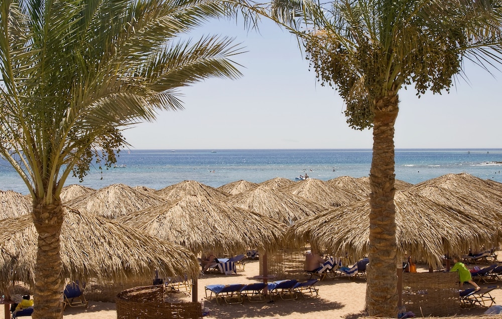 JAZ Makadina - All inclusive — Beach in Makadi Bay, Red Sea