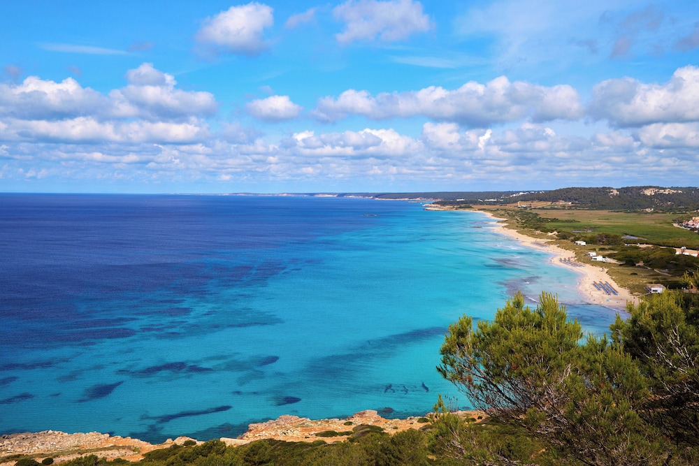 Sol Milanos Pingüinos — Attractions in the area in Son Bou, Balearic Islands
