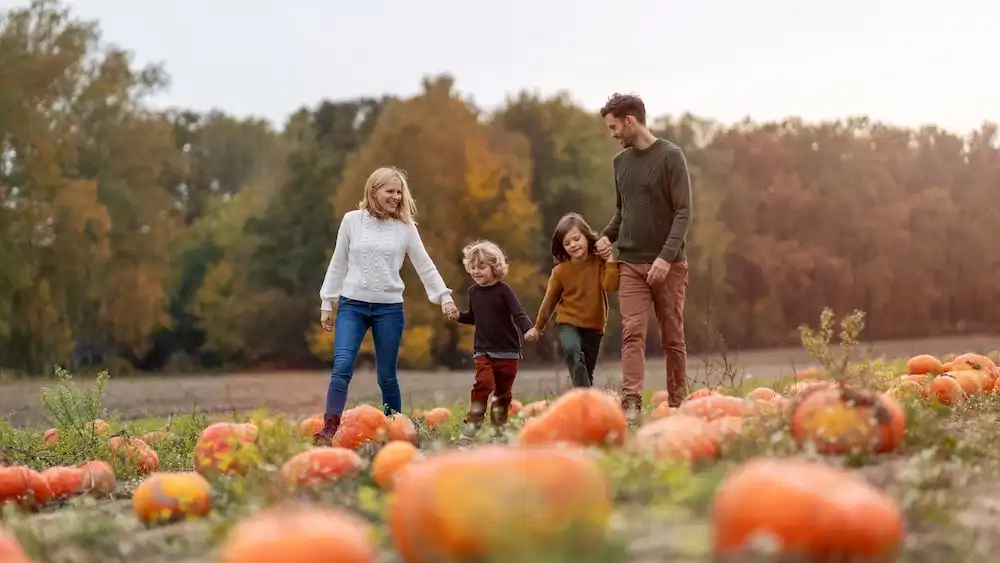 Crowne Plaza Hotel Blanchardstown by IHG — Attractions for children in Dublin, Dublin City