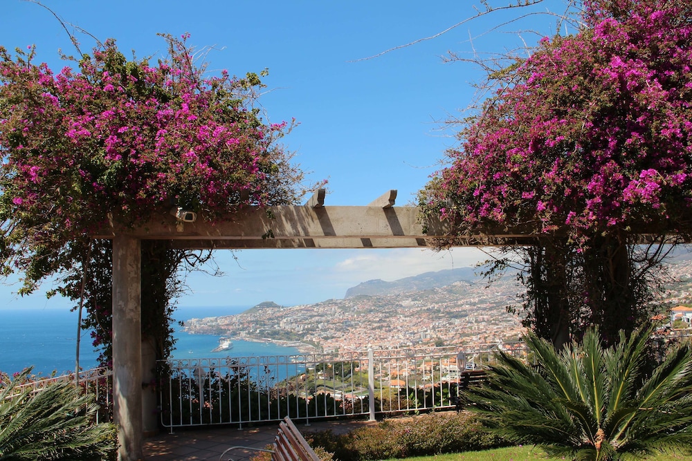 Hotel Ocean Gardens — Attractions in the area in Funchal, Madeira