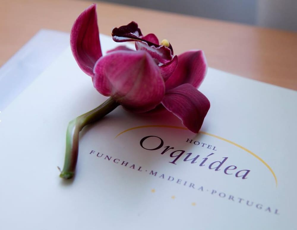 Hotel Orquidea — Hotel building in Funchal, Madeira