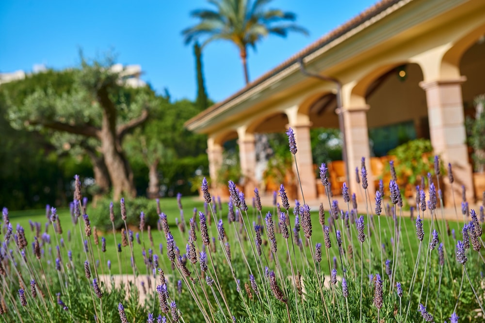CM Mallorca Palace Hotel - Adults Only — Hotel building in Sa Coma, Balearic Islands