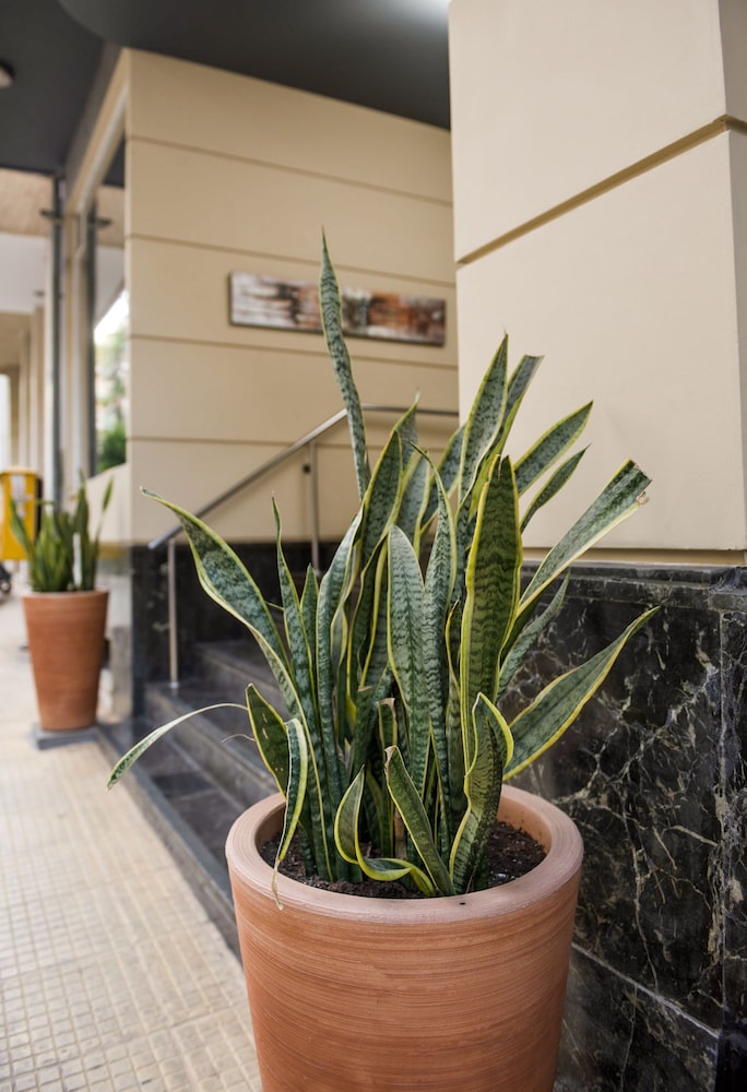 Acropolis Select Hotel — Hotel building in Athens, Attica