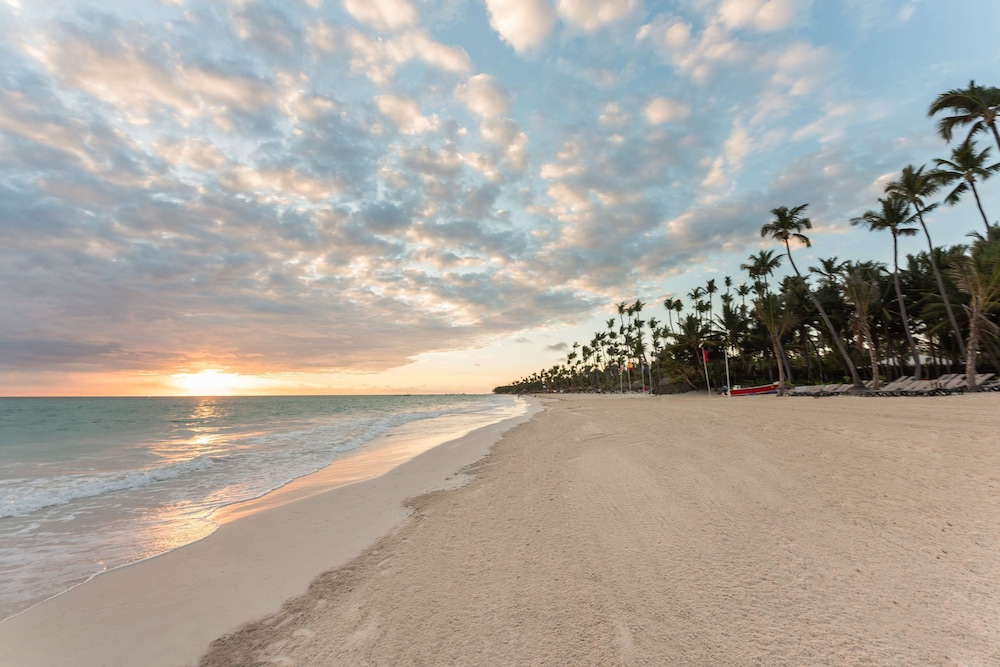 Occidental Punta Cana - All Inclusive — Beach in Bavaro, La Altagracia