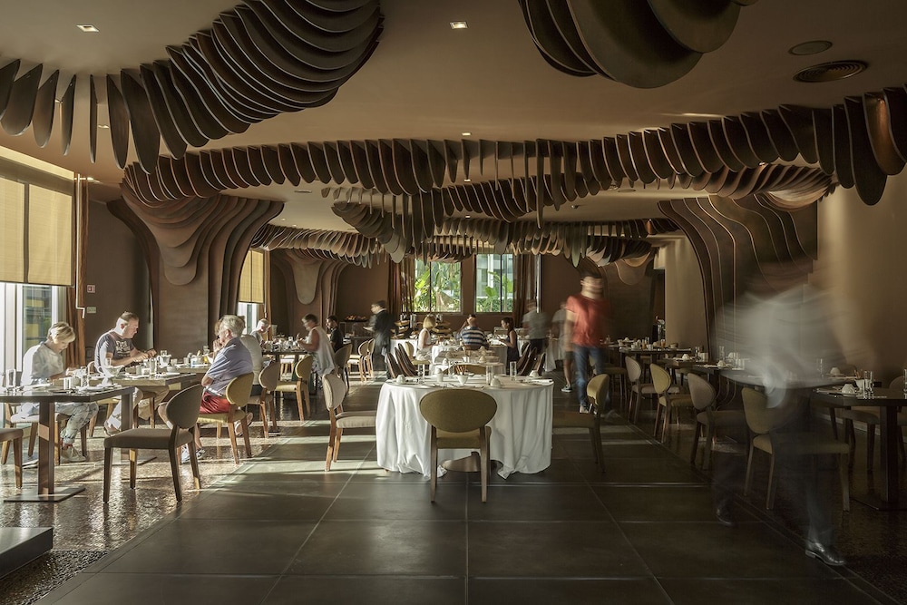 The Vine — Funchal, Madeira
