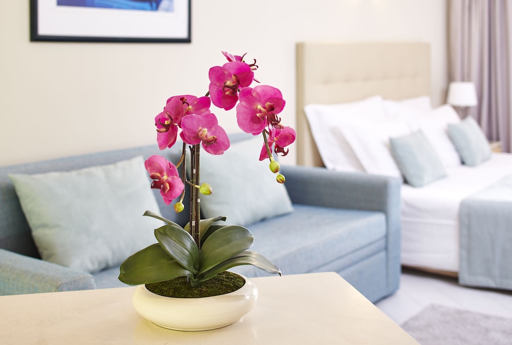 Luna Clube Oceano — Hotel rooms in Albufeira, Faro