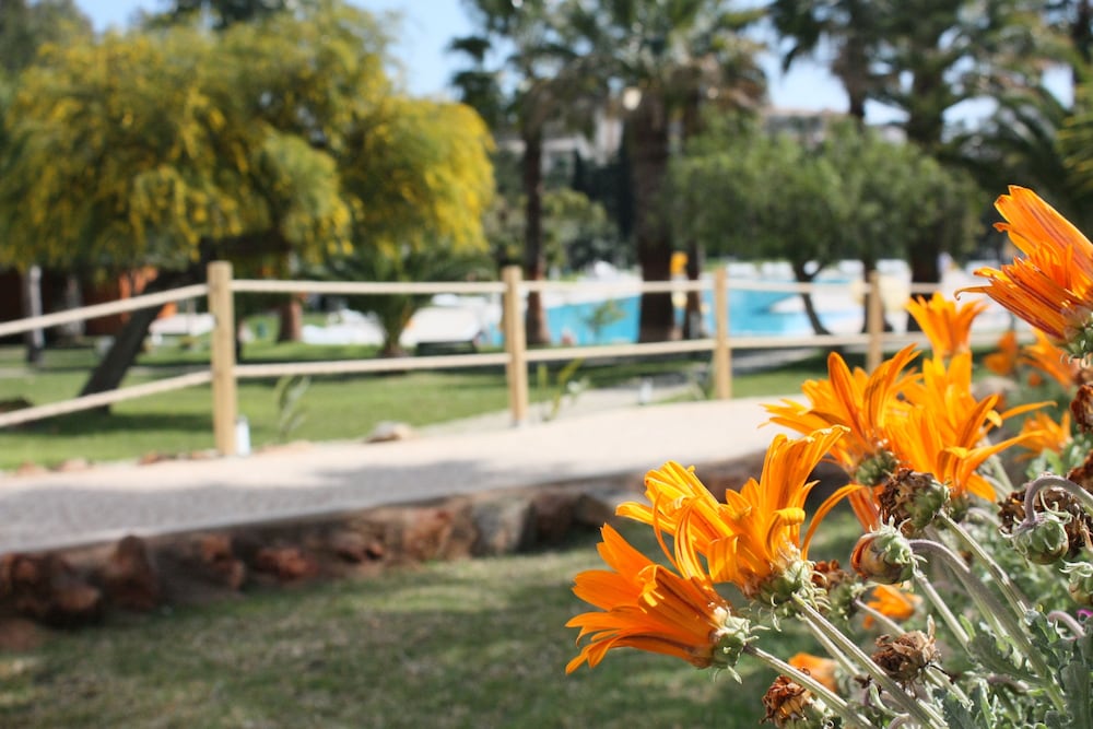 Vila Petra — Swimming pool in Albufeira, Faro
