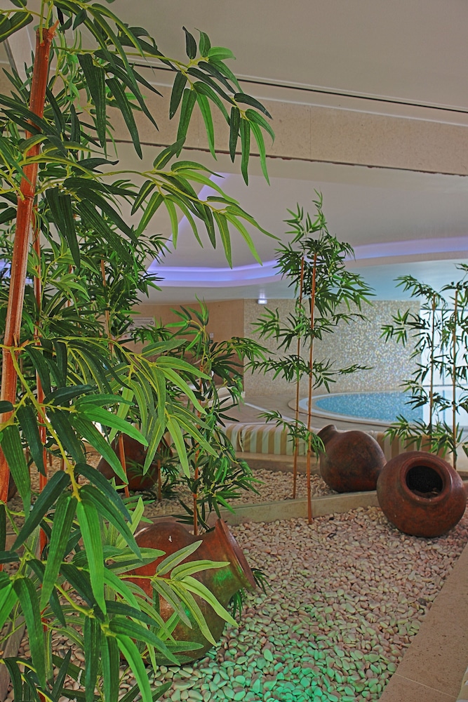 Vila Petra — Spa in Albufeira, Faro
