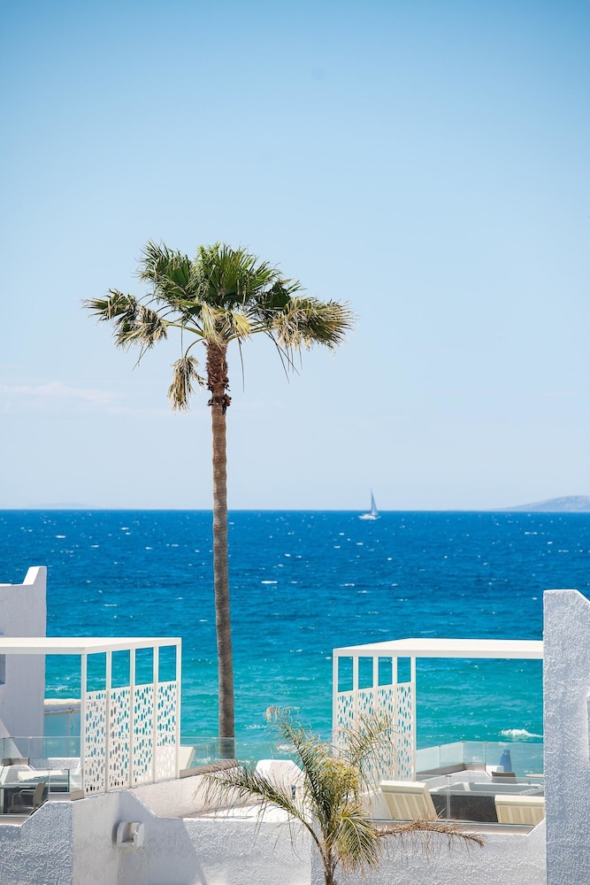 Aeolos Beach Hotel — Beach in Tigaki, South Aegean