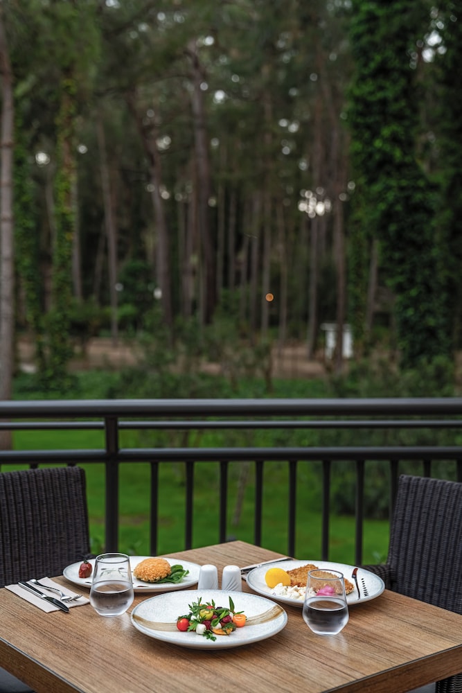 Balmy Foresta - All inclusive — Restaurant & bars in Kemer