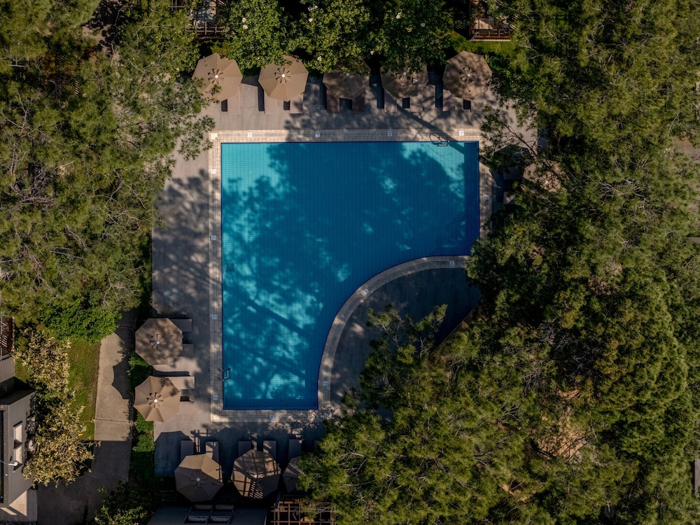 Balmy Foresta - All inclusive — Swimming pool in Kemer