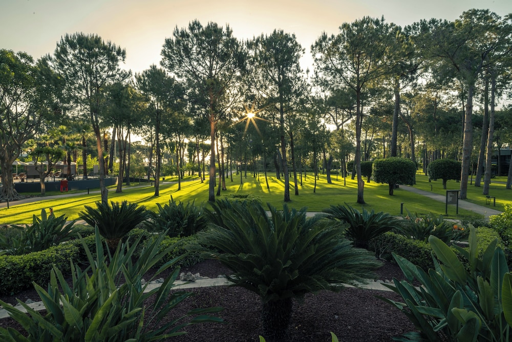 Balmy Foresta - All inclusive — Sports & recreation in Kemer
