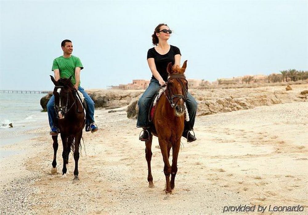 Swissôtel Resort El Quseir — Sports & recreation in El Quseir, Red Sea