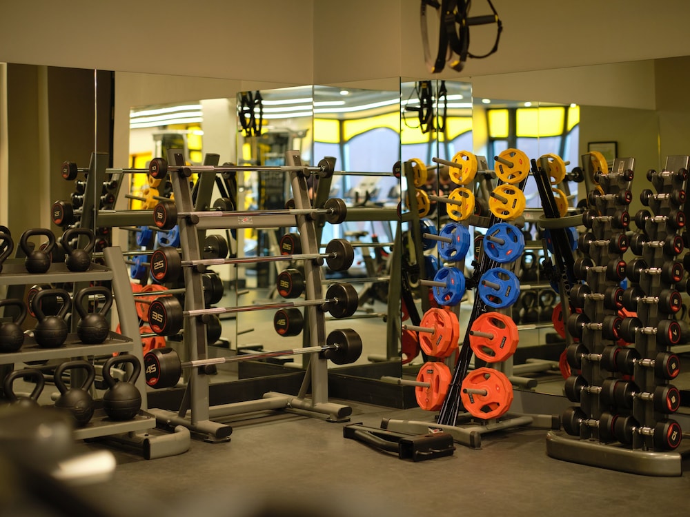 The Alex — Sports & recreation in Dublin, Dublin City