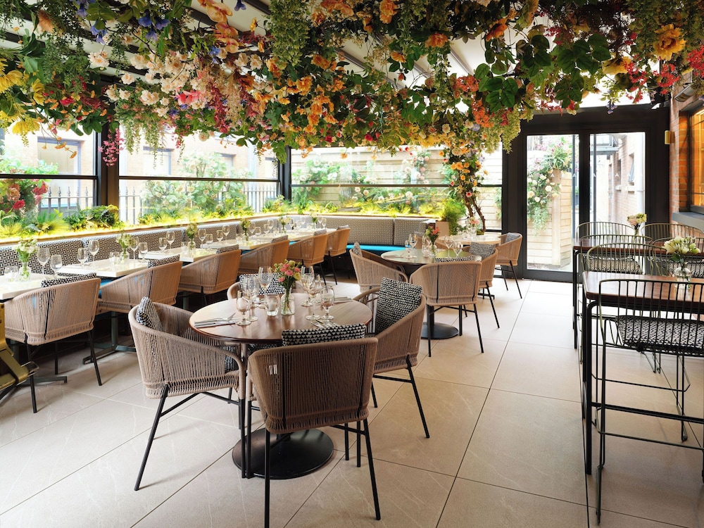 The Alex — Restaurant & bars in Dublin, Dublin City