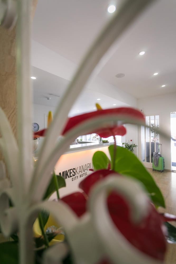 Mikes Kanarium Hotel — Hotel building in Larnaca, Larnaca Region