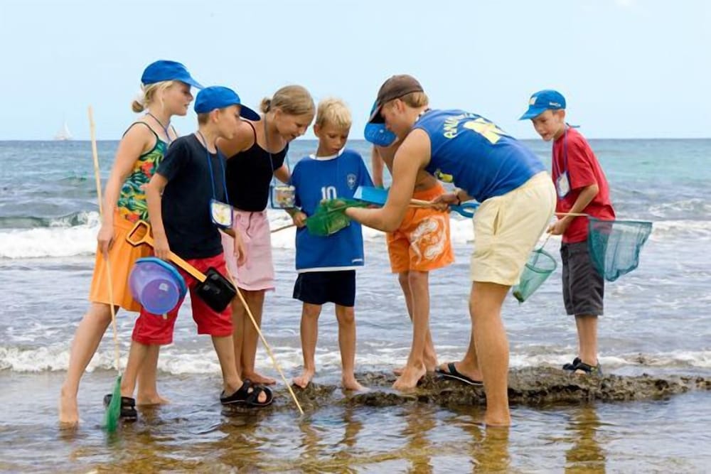 Aparthotel Playa Dorada — Attractions for children in S'Illot, Balearic Islands