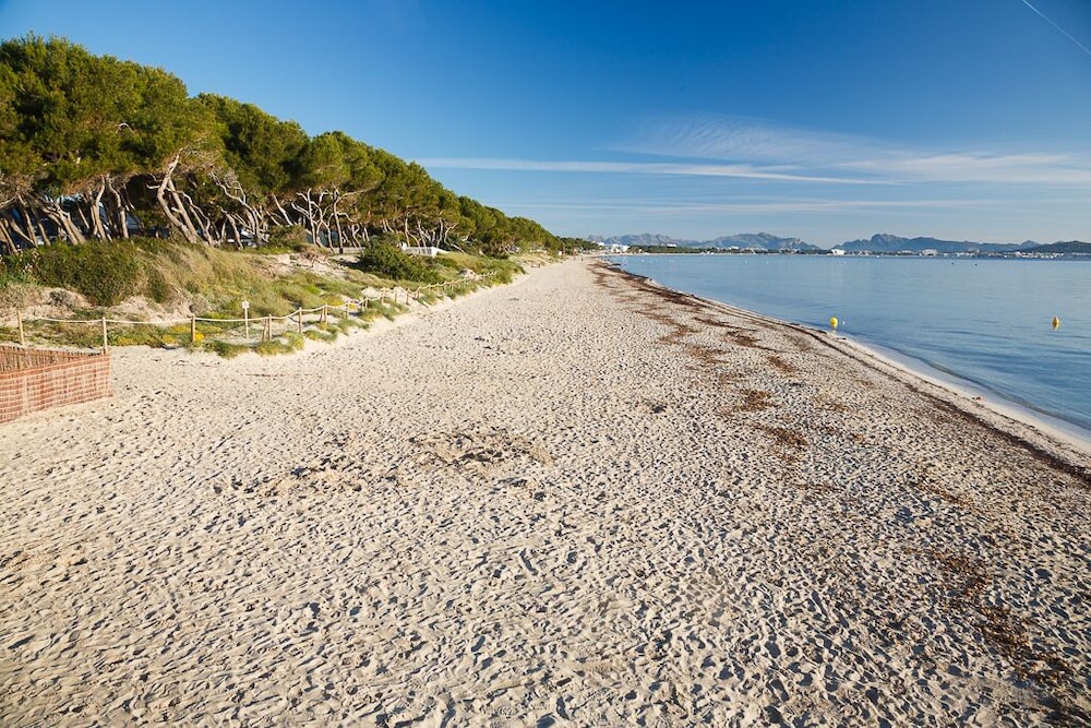 Hotel JS Miramar — Beach in Can Picafort, Balearic Islands